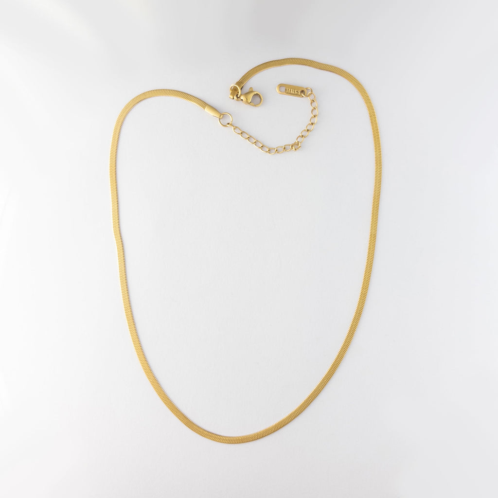 PureShine Dual Chain Necklace with Heart Pendant