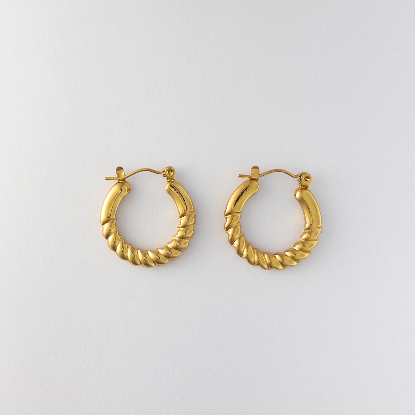 Twisted Luxe Round Hoops